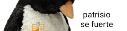 User profile banner