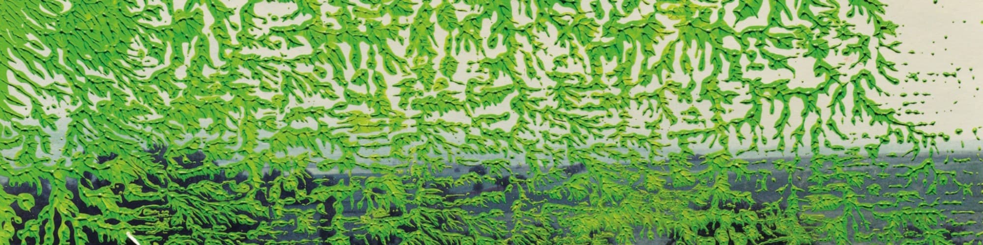 User profile banner