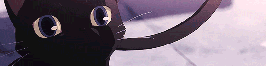 User profile banner