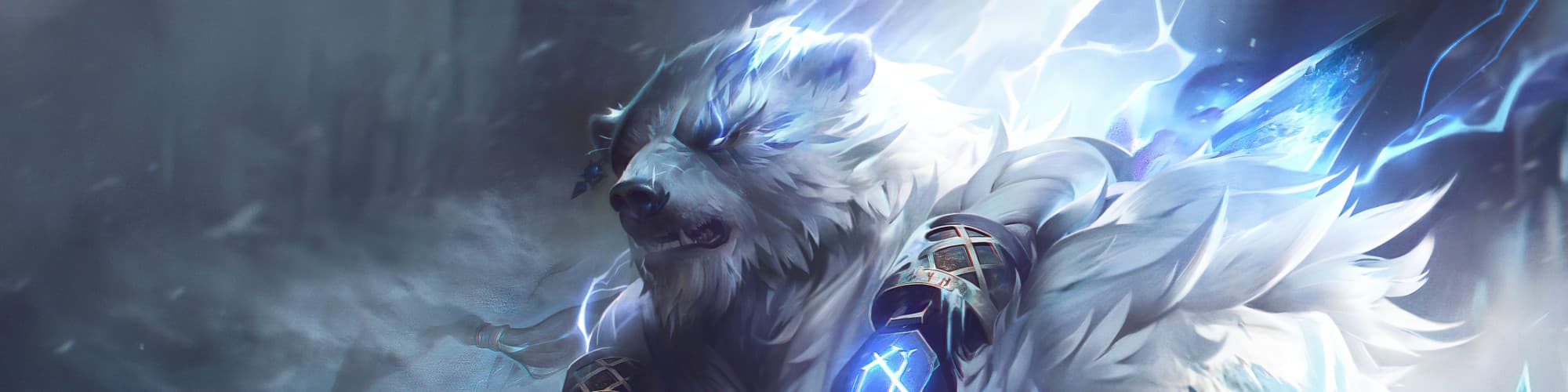 User profile banner