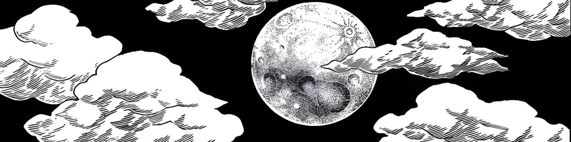 User profile banner