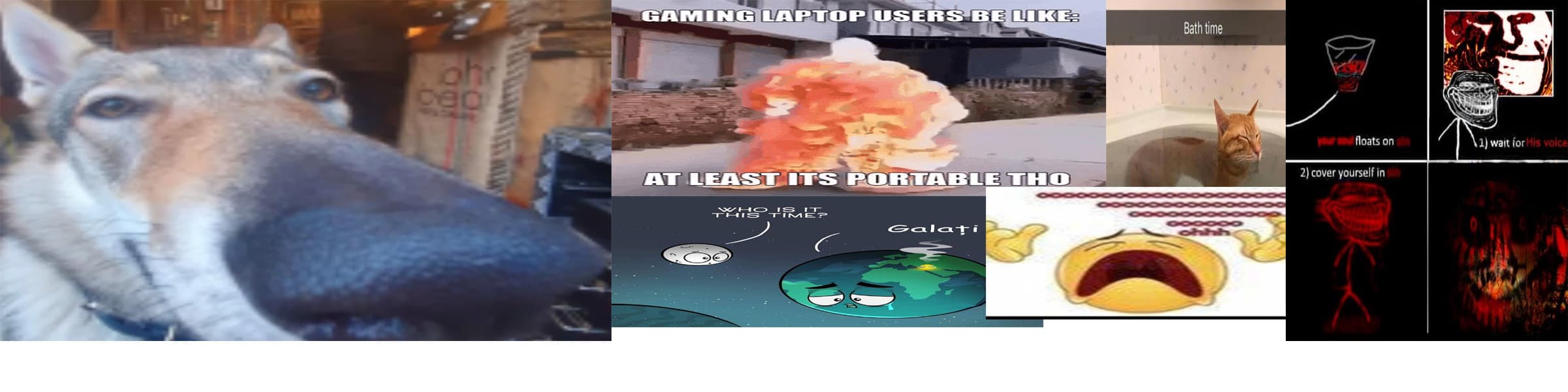 User profile banner