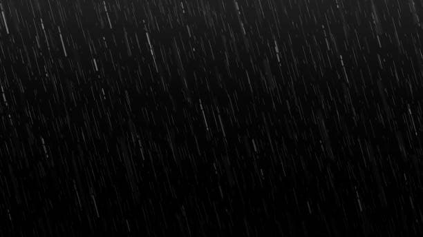 User profile banner