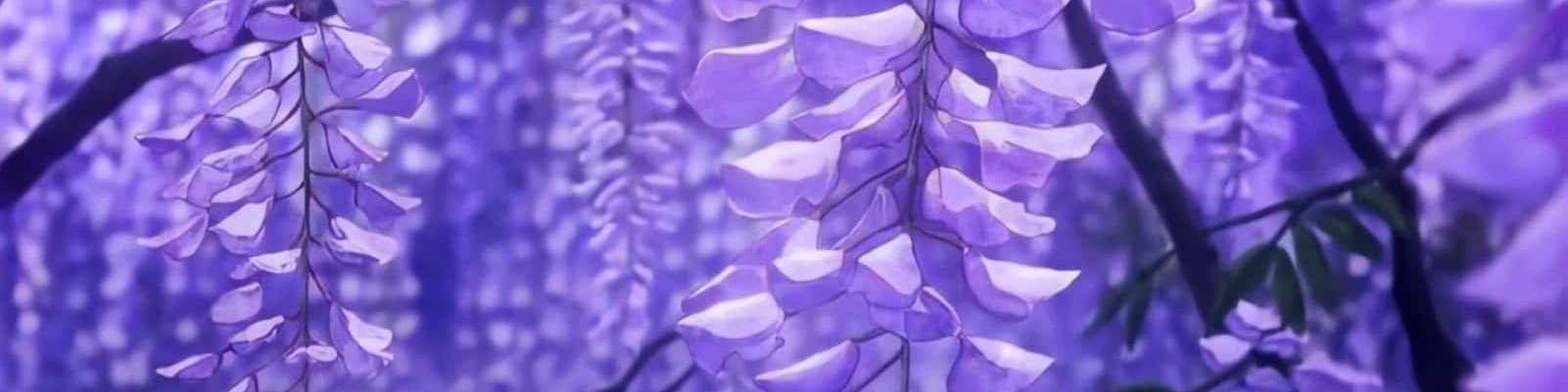 User profile banner