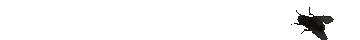 User profile banner