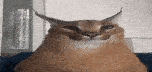 User profile banner