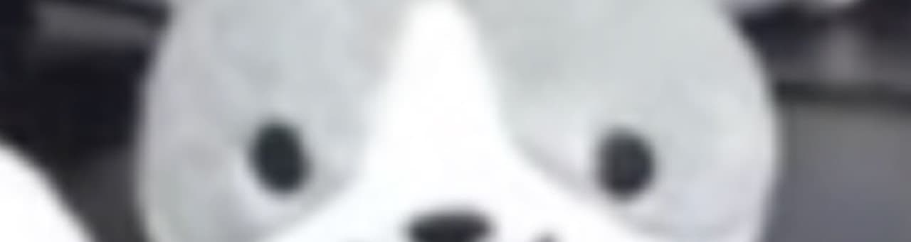 User profile banner