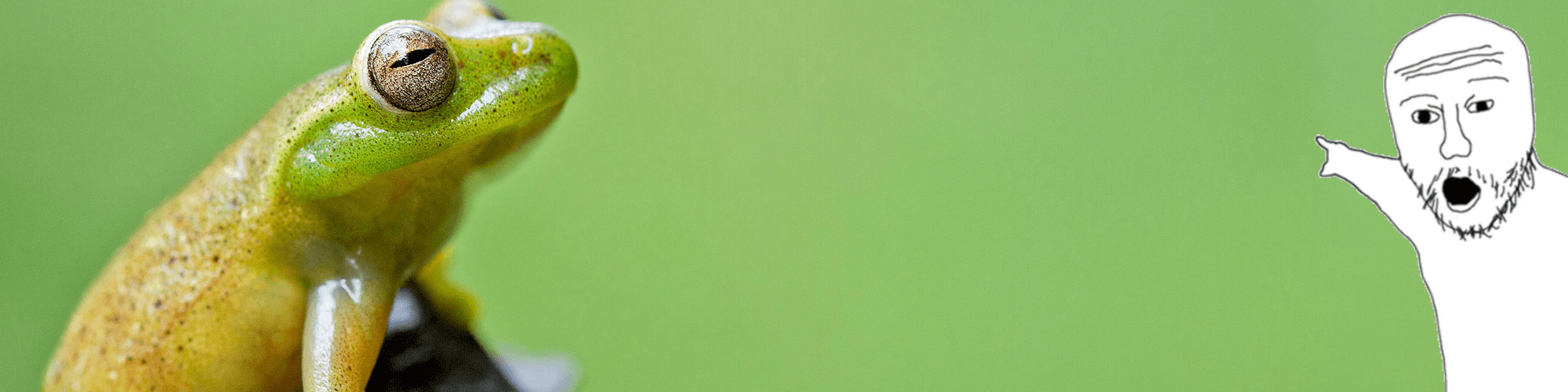 User profile banner