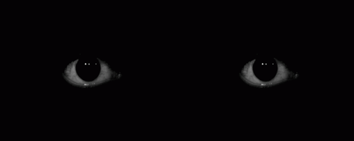 User profile banner