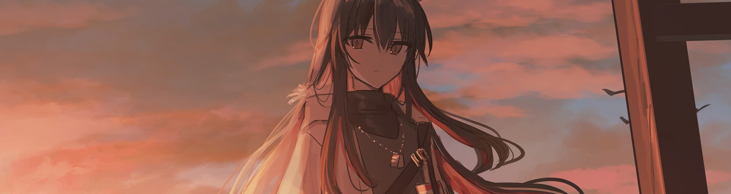 User profile banner