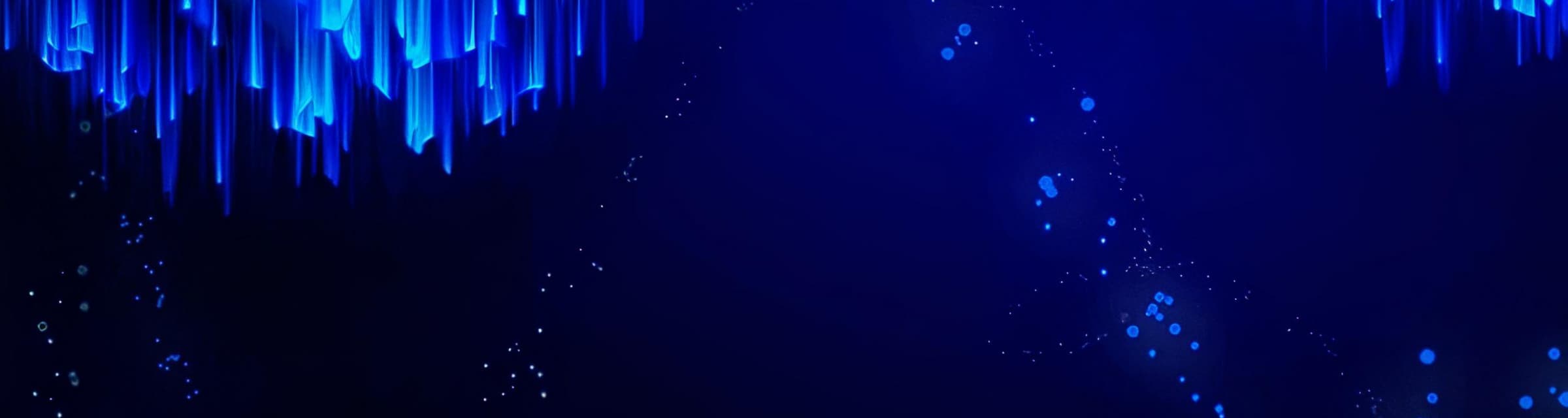 User profile banner