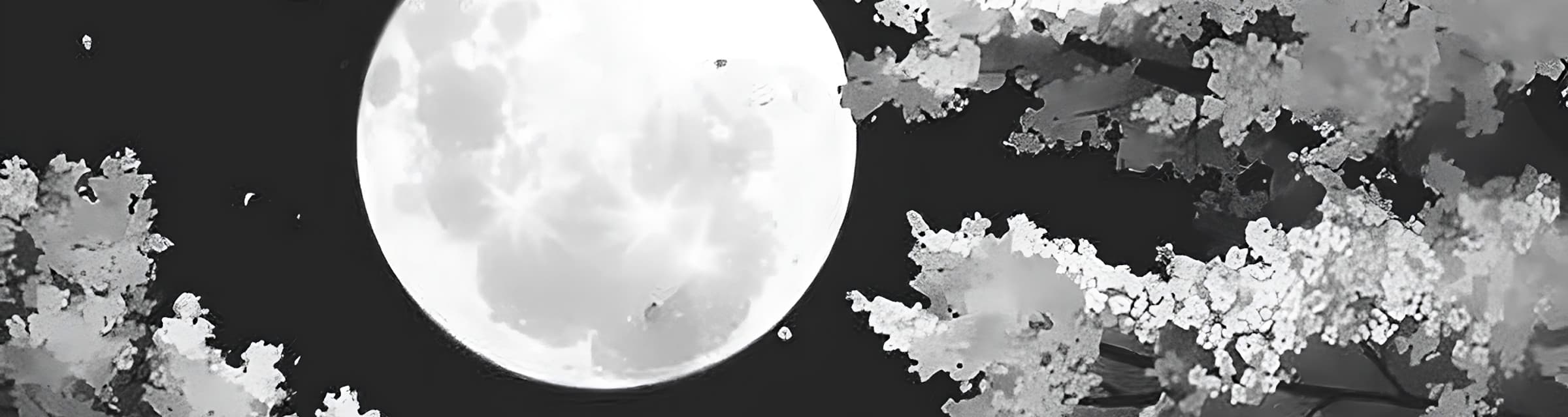 User profile banner