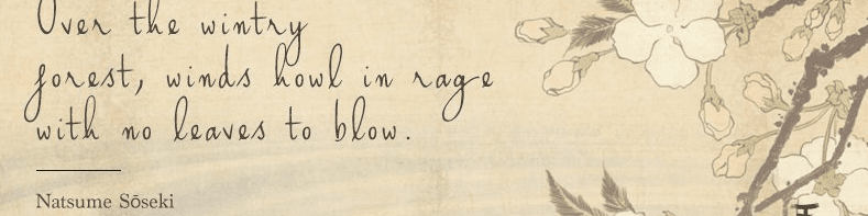 User profile banner