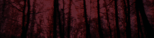 User profile banner