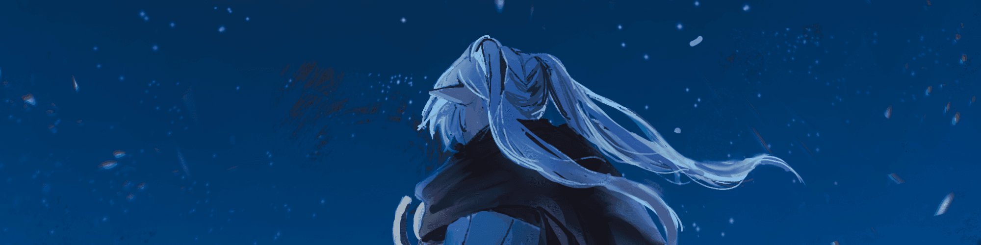 User profile banner