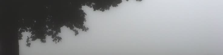 User profile banner