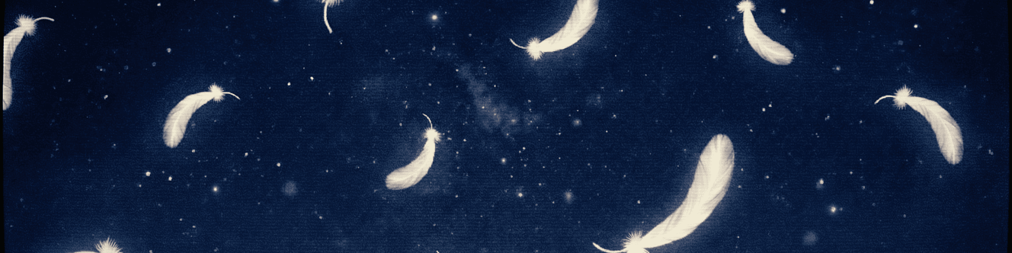 User profile banner