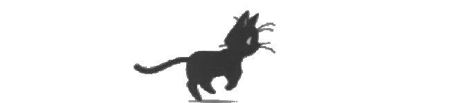 User profile banner