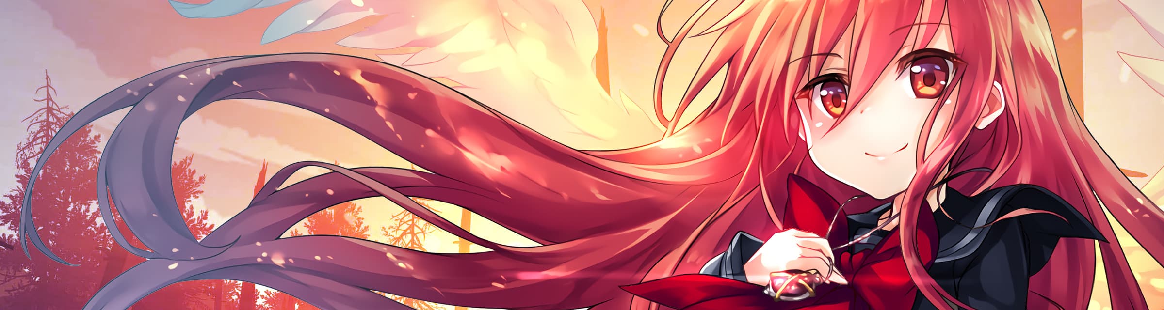 User profile banner