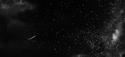 User profile banner