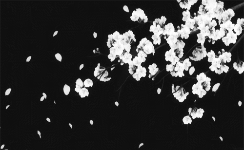 User profile banner