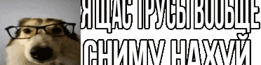 User profile banner