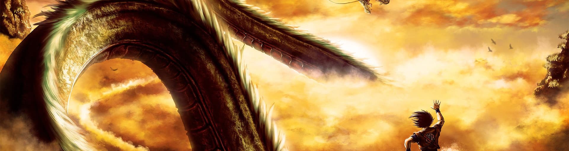 User profile banner