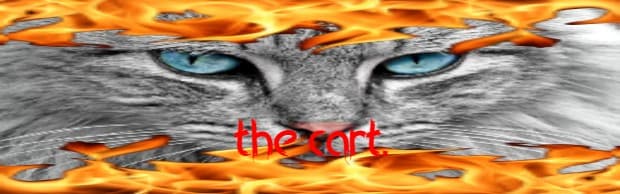 User profile banner