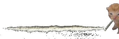 User profile banner