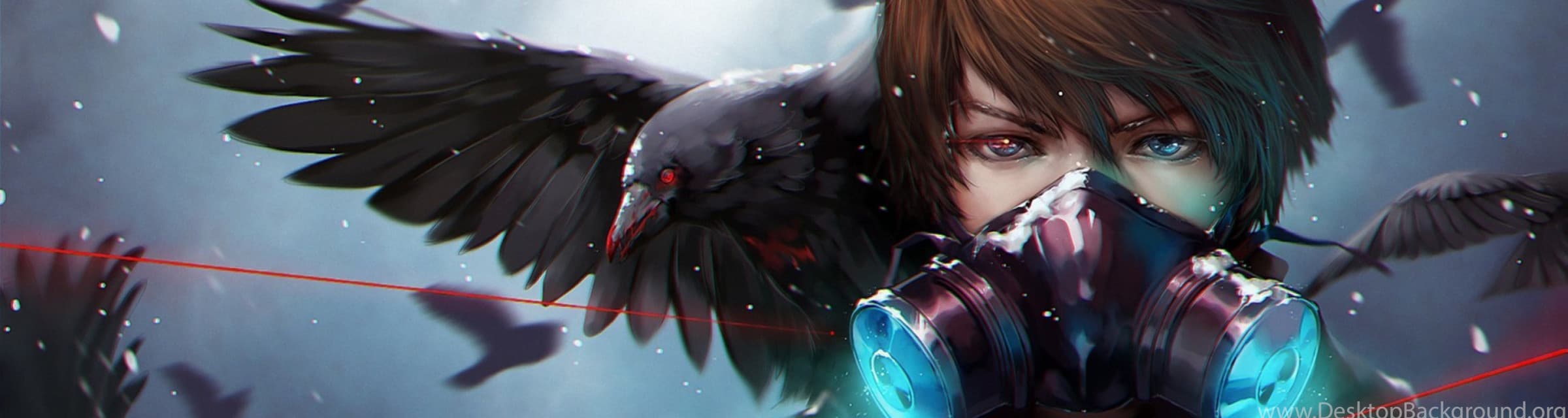 User profile banner