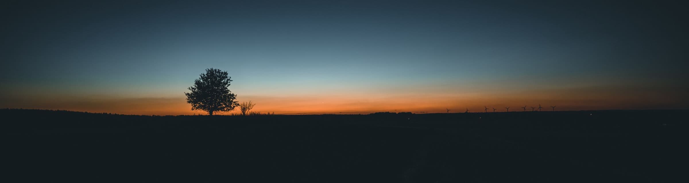 User profile banner