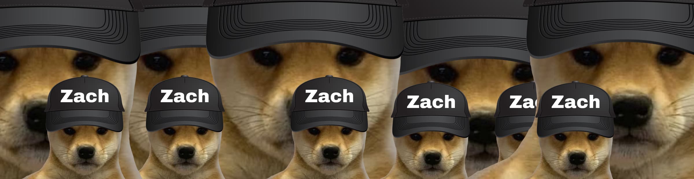 User profile banner