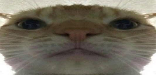 User profile banner