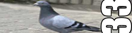 User profile banner