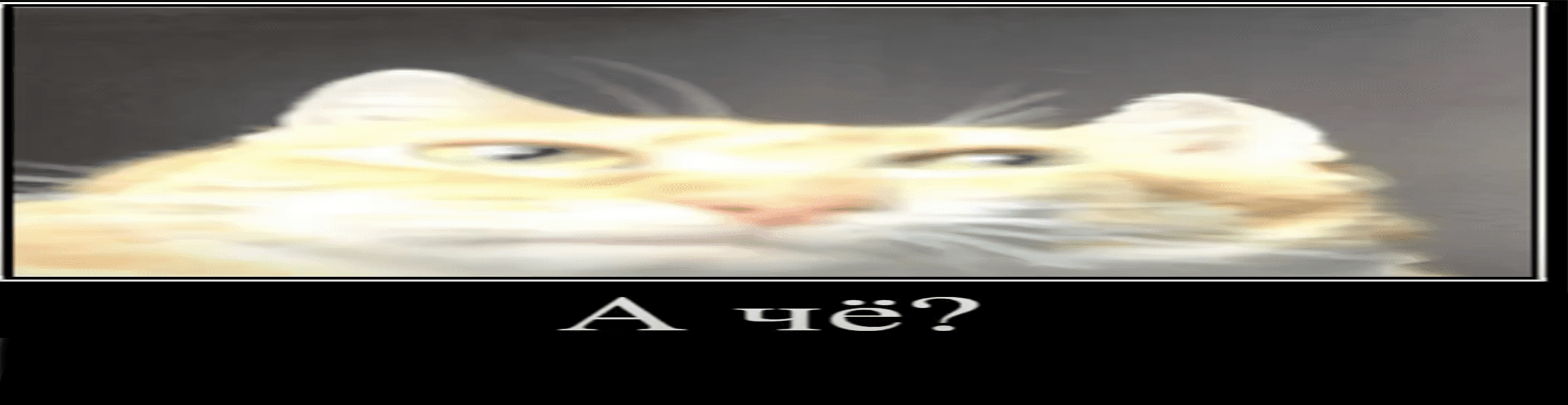 User profile banner
