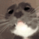 User profile banner