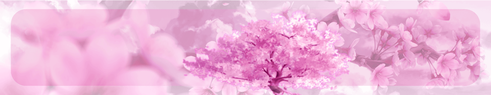 User profile banner