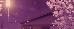 User profile banner