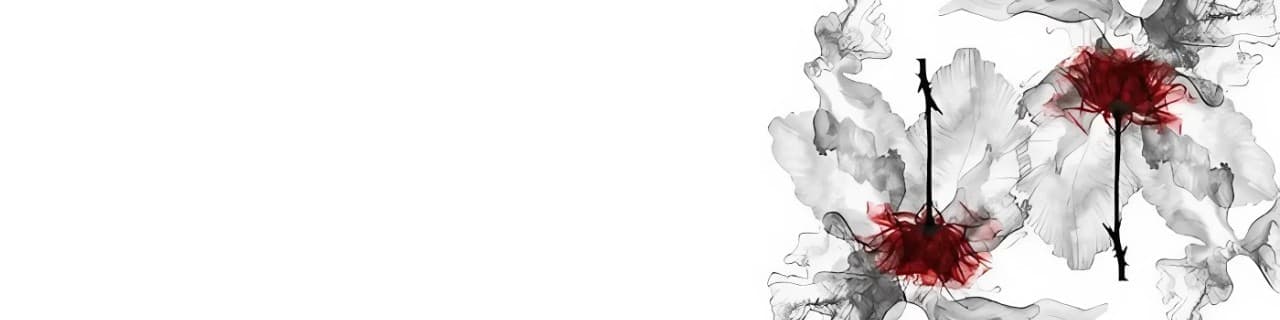 User profile banner