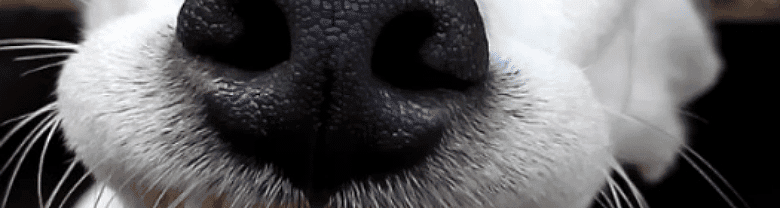 User profile banner