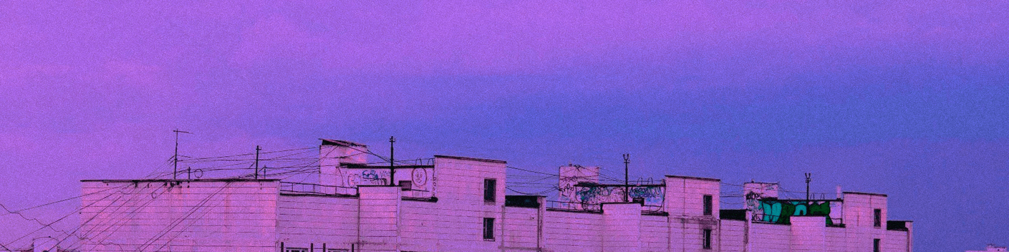 User profile banner