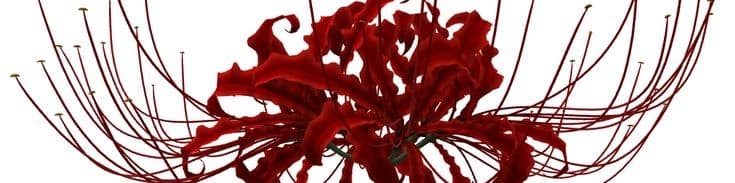 User profile banner