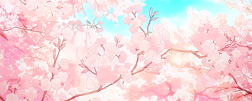 User profile banner