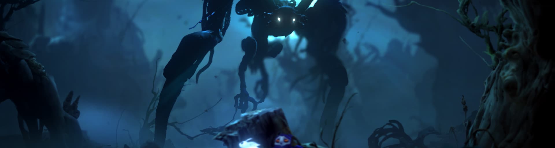 User profile banner