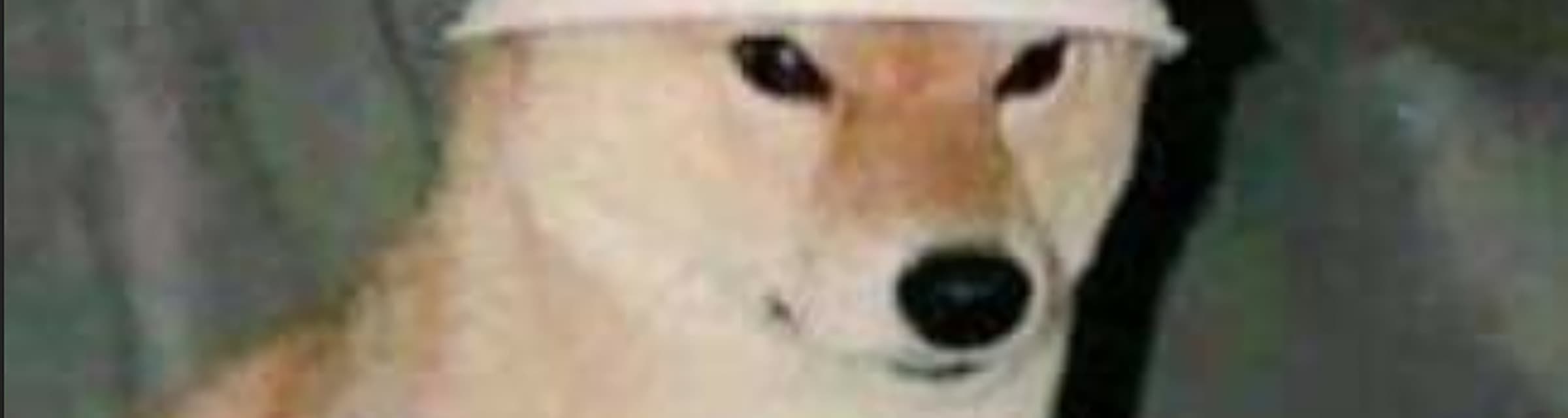 User profile banner