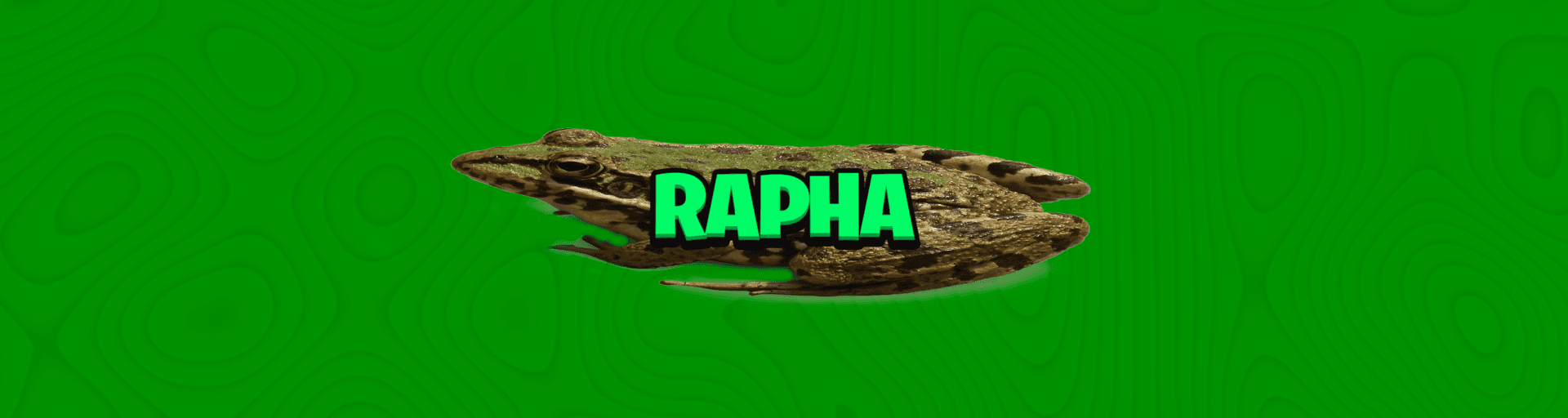 User profile banner