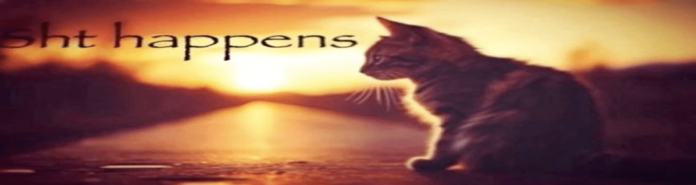 User profile banner