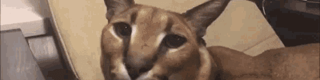 User profile banner
