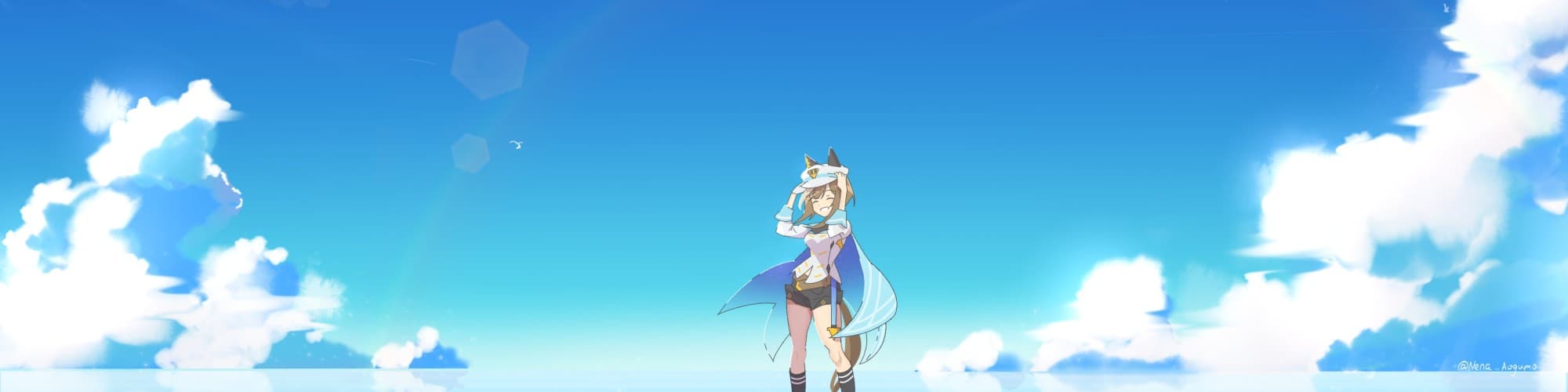 User profile banner