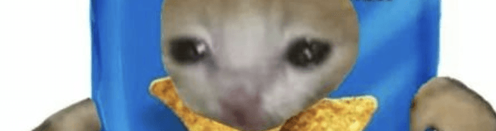 User profile banner